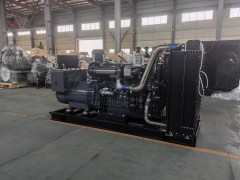 300 千瓦柴油發(fā)電機組（柴動力）技術參數與配置說明